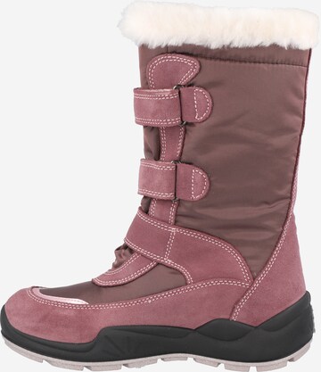 PRIMIGI Škornji za v sneg | vijolična barva