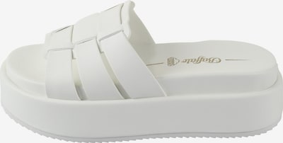 BUFFALO Pistokkaat värissä valkoinen, Tuotenäkymä