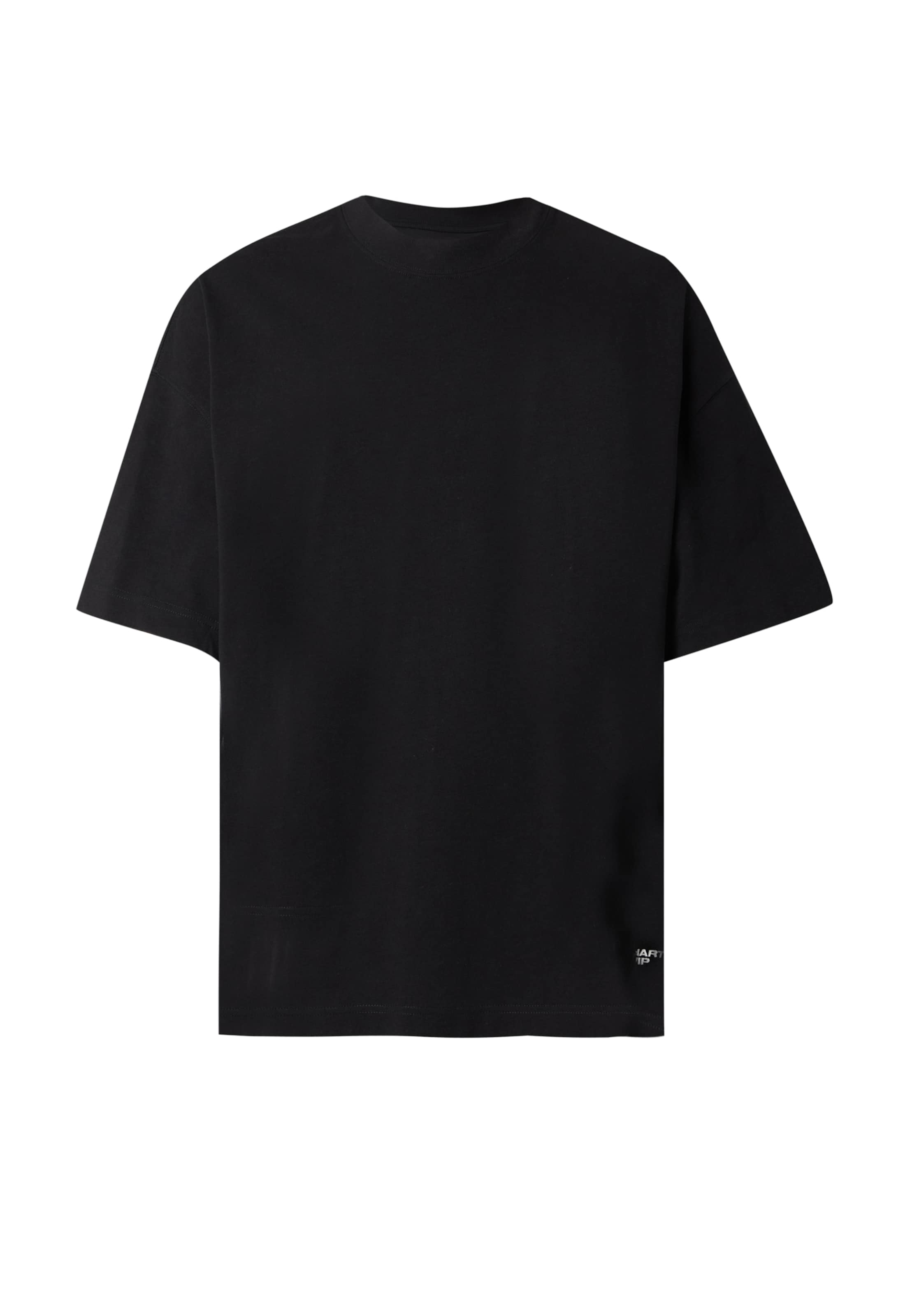 Carhartt WIP T-Shirt 'Chapter Script' in S in schwarz / weiß, Produktansicht