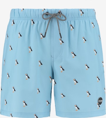 Shiwi Zwemshorts 'puffin 4-way stretch' in Blauw: voorkant