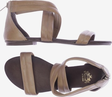 OTTO KERN Sandals & High-Heeled Sandals in 38 in Brown: front