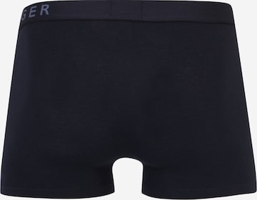 Tommy Hilfiger Underwear Normální Boxerky – modrá