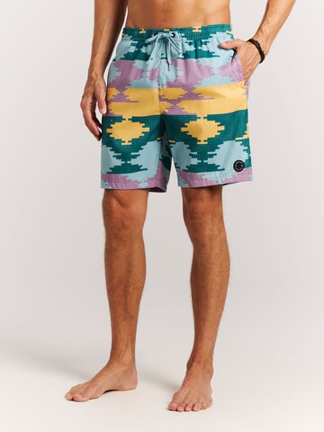 PROTEST Badeshorts 'PRTKeswick'‌‌‌‌‌‌ in Grün