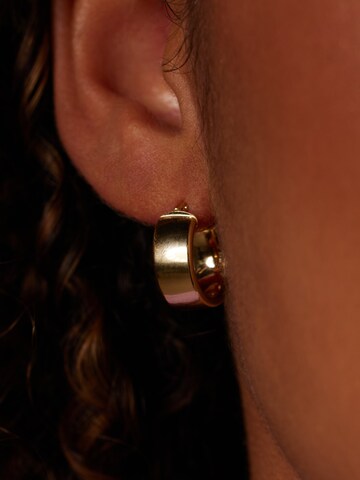 Boucles d'oreilles 'Statement' Lucardi en or