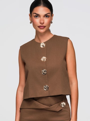 Gilet Ombre en marron