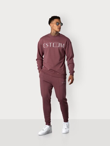 ESTEEM Collegepaita värissä punainen