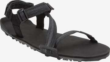 Xero Shoes Sandals 'Z-Trail EV' in Black: front