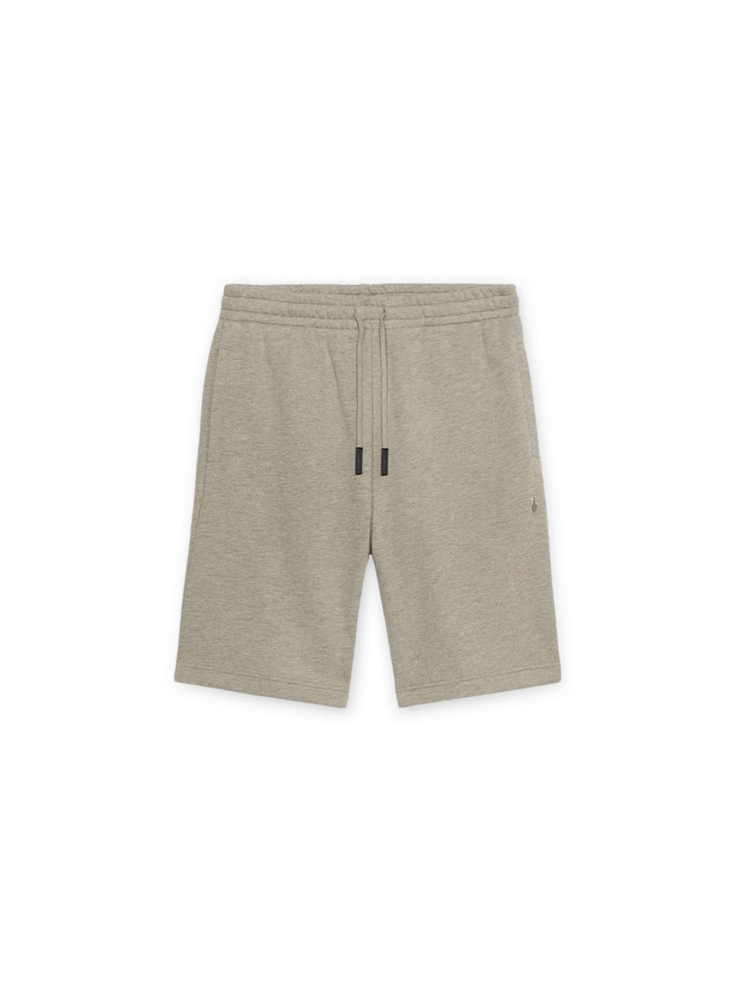 Regular Pantalon Trussardi en gris : devant