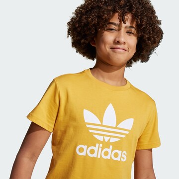 ADIDAS ORIGINALS Shirt 'Adicolor Trefoil' in Yellow