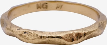 Haze&Glory Ring in Goud