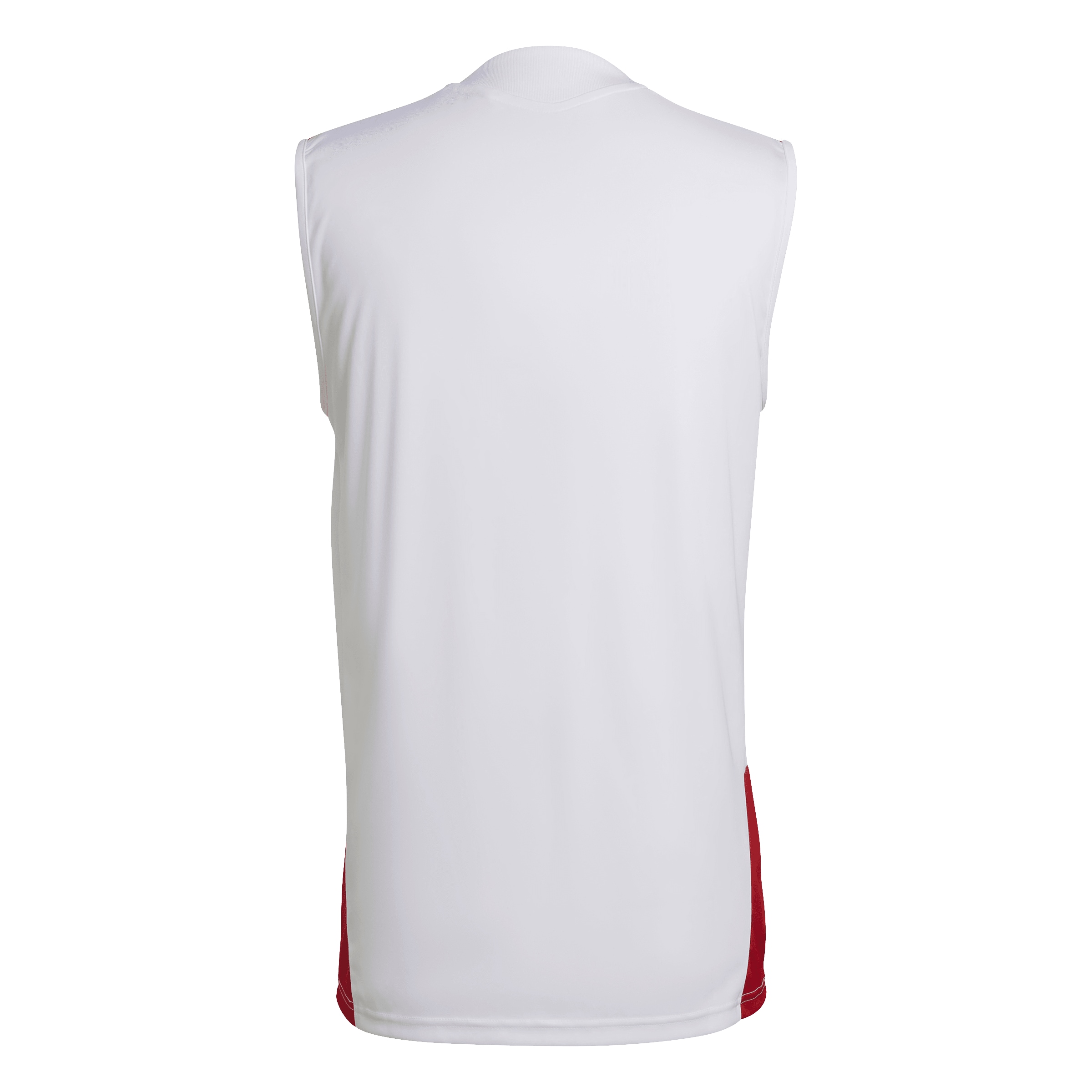 Maillot 'DFB TR SL JSY' ADIDAS PERFORMANCE en blanc