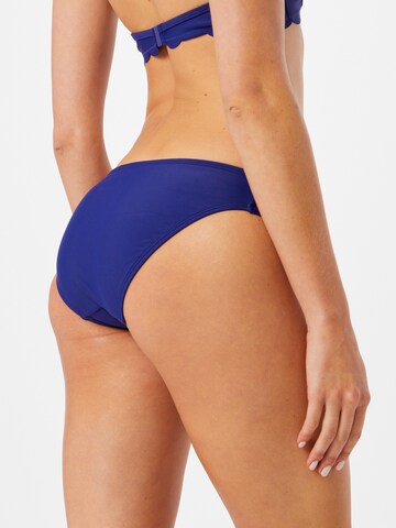 Regular Bas de bikini Hunkemöller en bleu