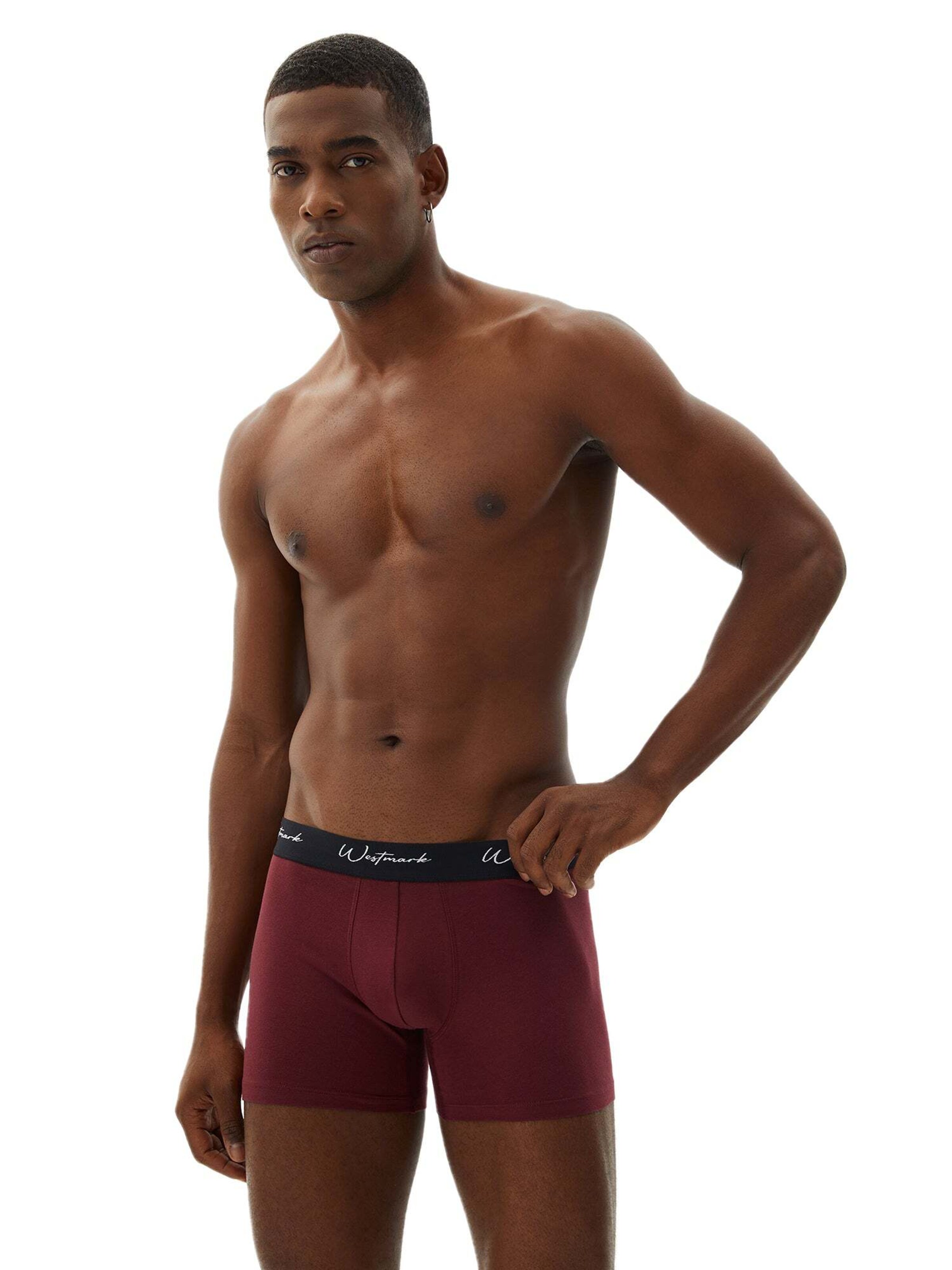 Boxer 'Lucas' di WESTMARK LONDON in blu