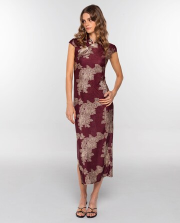 THE-ARE Kleid in Rot