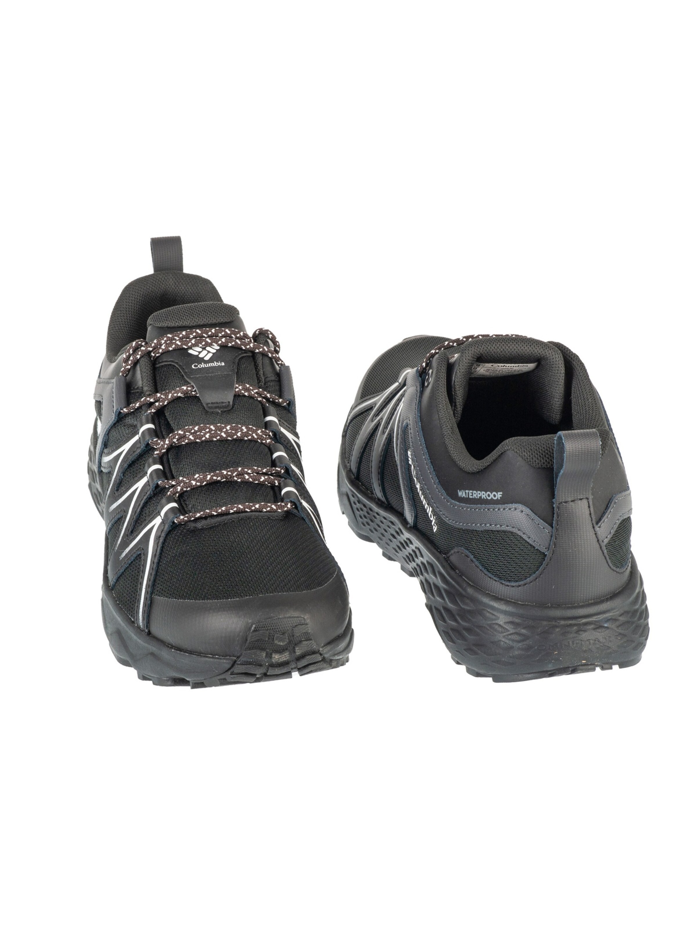 COLUMBIA Półbuty 'Columbia Peakfreak Roam' w kolorze czarny