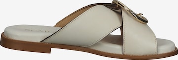 SCAPA Pantolette in Beige