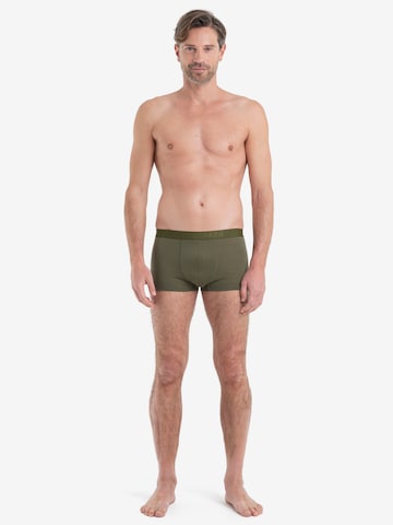 ICEBREAKER - Cueca desportiva 'Anatomica' em verde