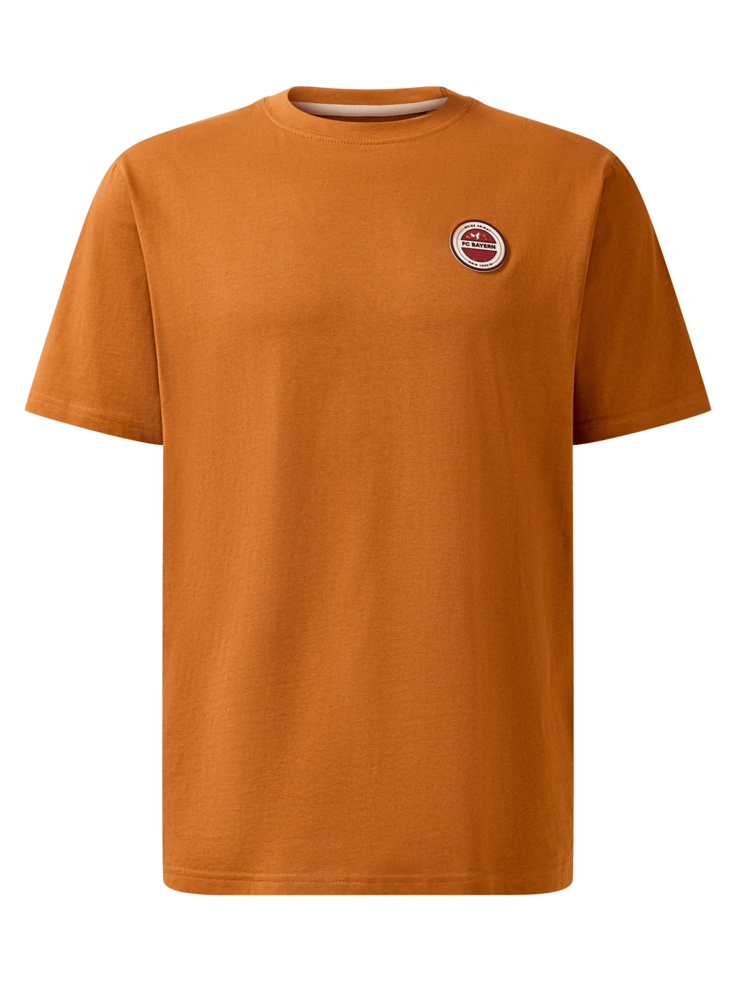 FC BAYERN MÜNCHEN Shirt in Brown: front