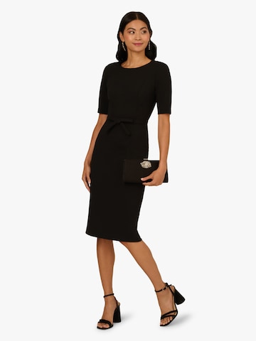 Adrianna Papell Kleid in Schwarz