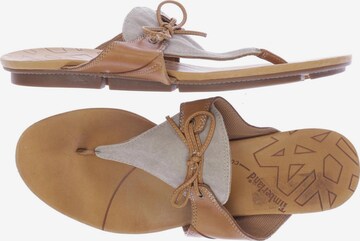 TIMBERLAND Sandals & High-Heeled Sandals in 41 in Beige: front