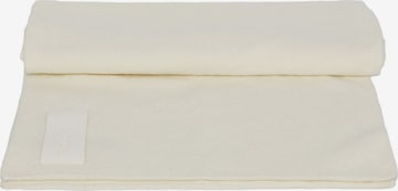 Polo Club Scarf in Brown: front