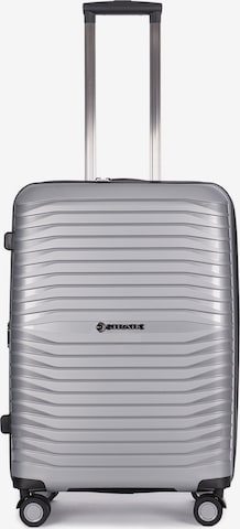 Stratic Cart 'Bright+' in Silver: front
