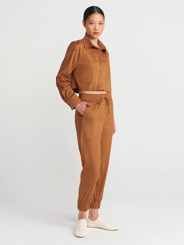 Dilvin Shirt in Brown