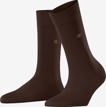 BURLINGTON Socks 'Bloomsbury' in Brown: front