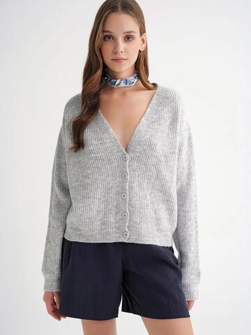 MixRay Knit Cardigan in Grey: front