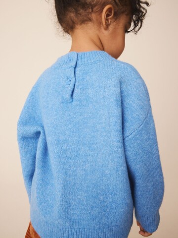 Next Trui in Blauw