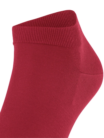 FALKE Socks 'ClimaWool' in Red