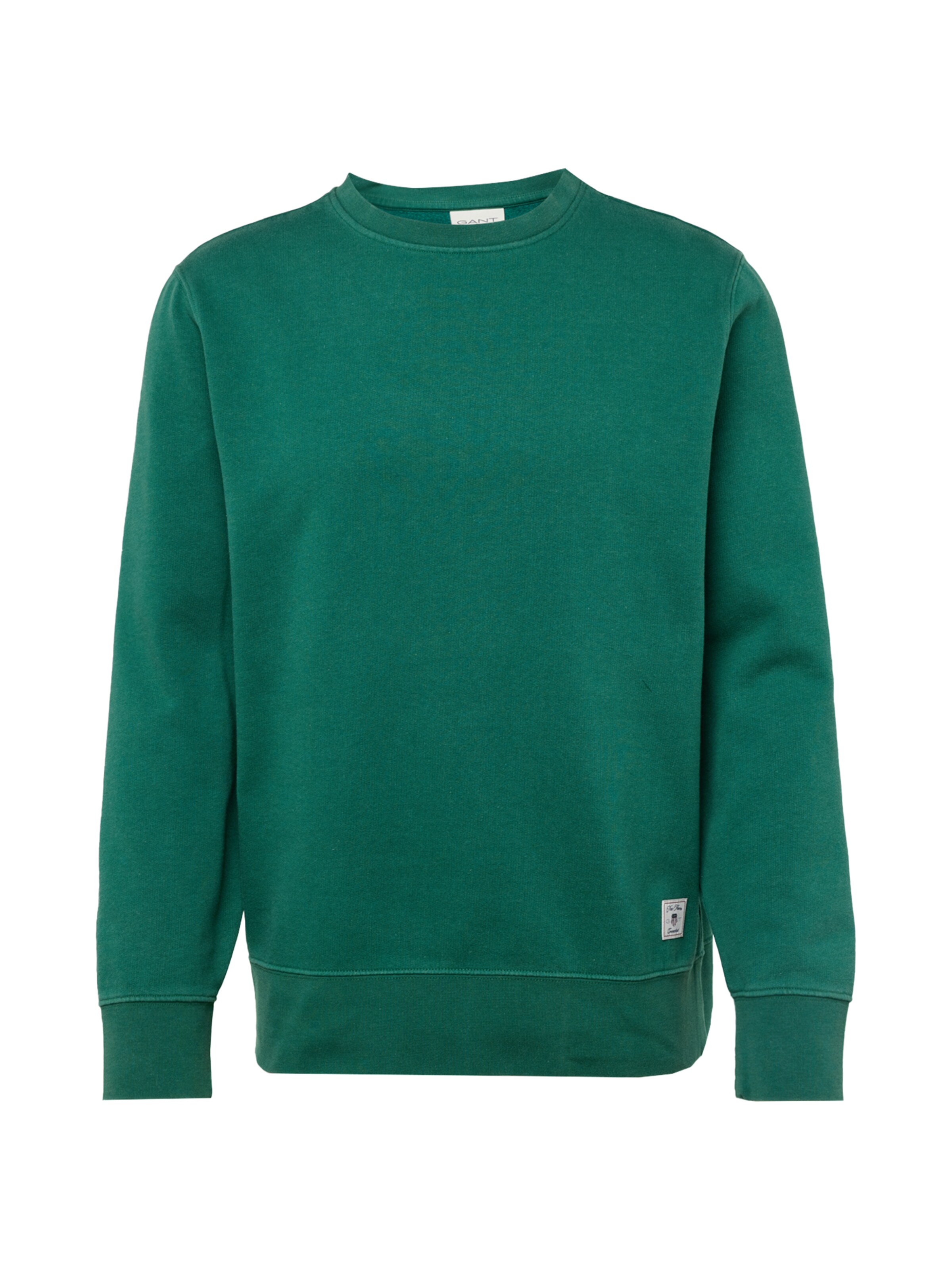 GANT Sweatshirt in Grün: Vorderseite