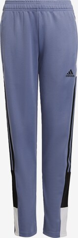 Regular Pantalon de sport 'Tiro' ADIDAS PERFORMANCE en violet