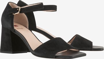 Högl Strap sandal 'Beatrice' in Black