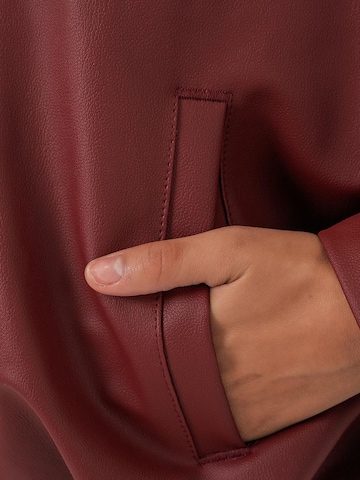 Veste d’hiver 'Jacken' Bigdart en rouge