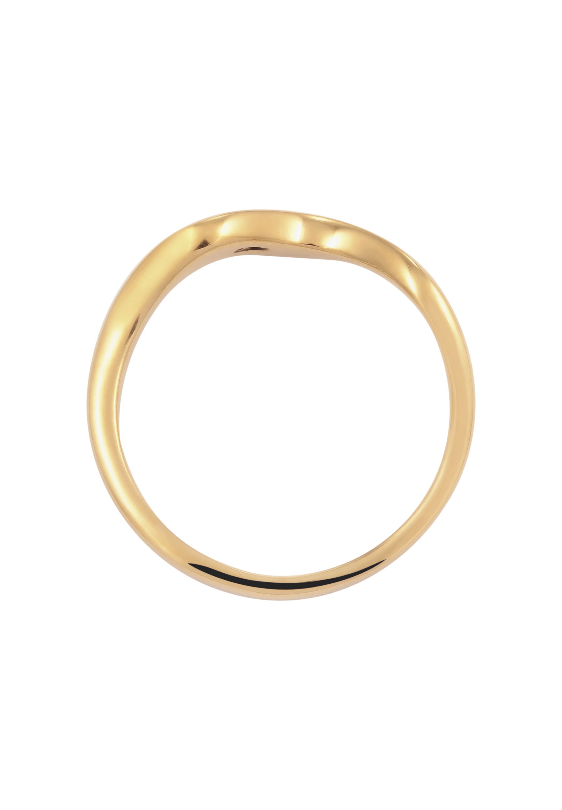 ELLI PREMIUM Ring in Goud