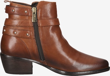 IGI&CO Booties in Brown