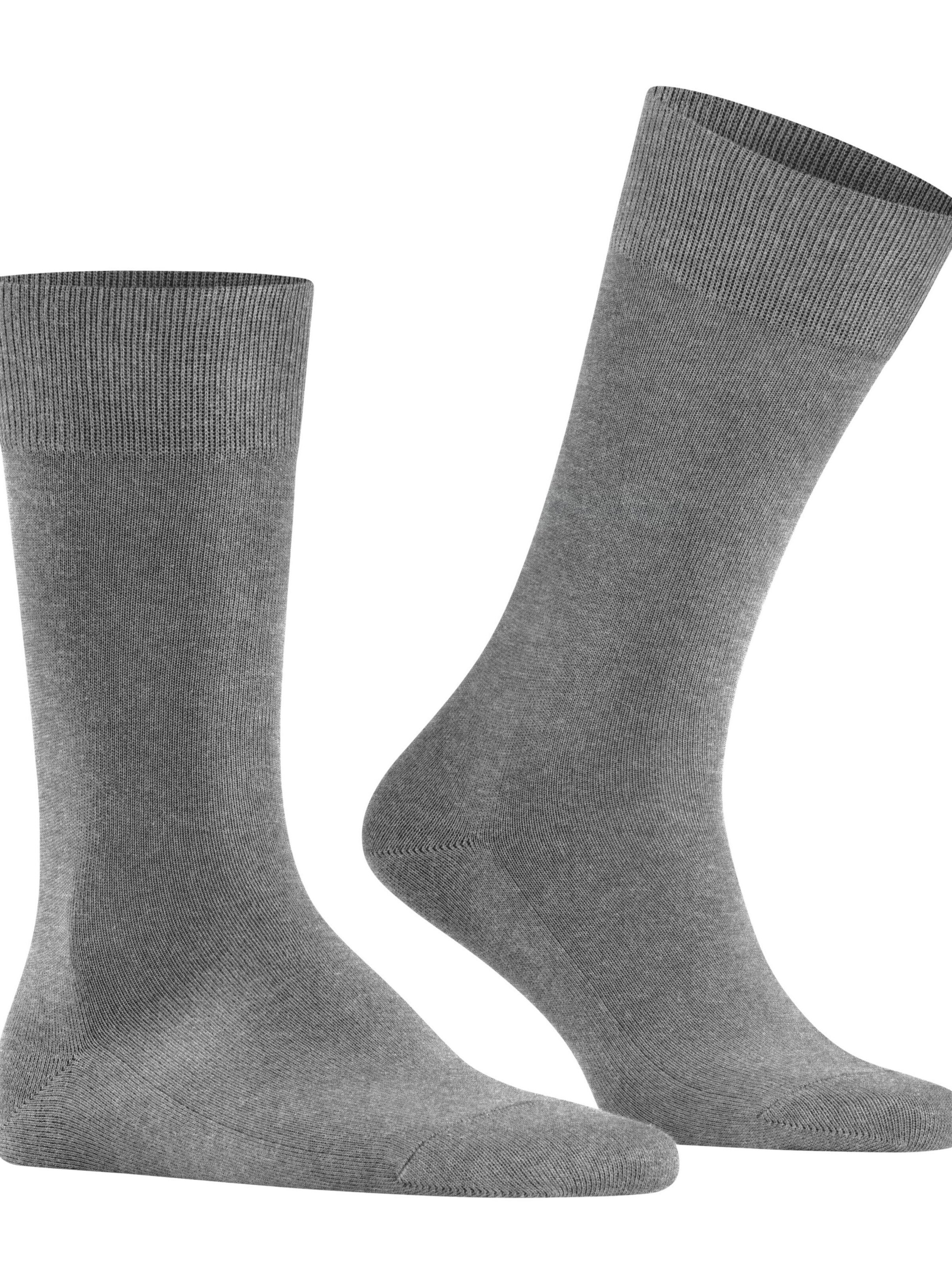 FALKE Socks 'Family' in Grey