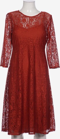 Dorothy Perkins Dress in L in Brown: front