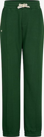 4funkyflavours Tapered Pants 'Hold That Weight' in Green: front