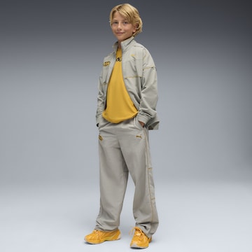 PUMA Regular Hose in Grau