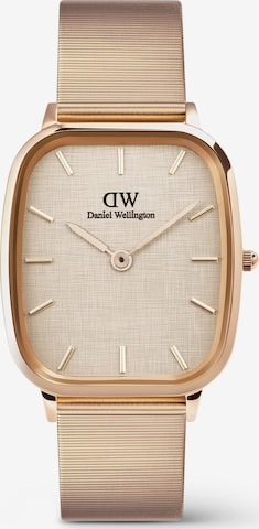 Daniel Wellington Uhre in Gold