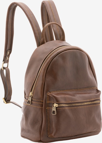 Viola Castellani Backpack in Brown: front
