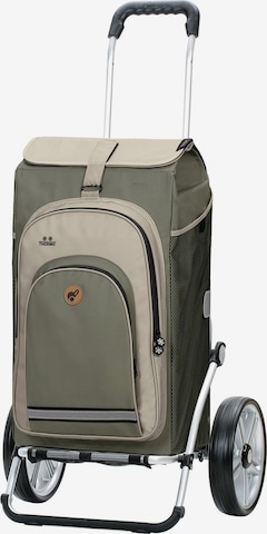 Trolley 'Hydro' di Andersen Shopper in grigio: frontale