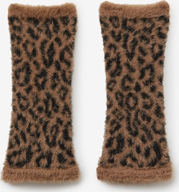 CALZEDONIA Handstulpen in Braun: Vorderseite