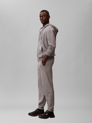 Calvin Klein Jeans Tapered Trousers 'Terry' in Grey
