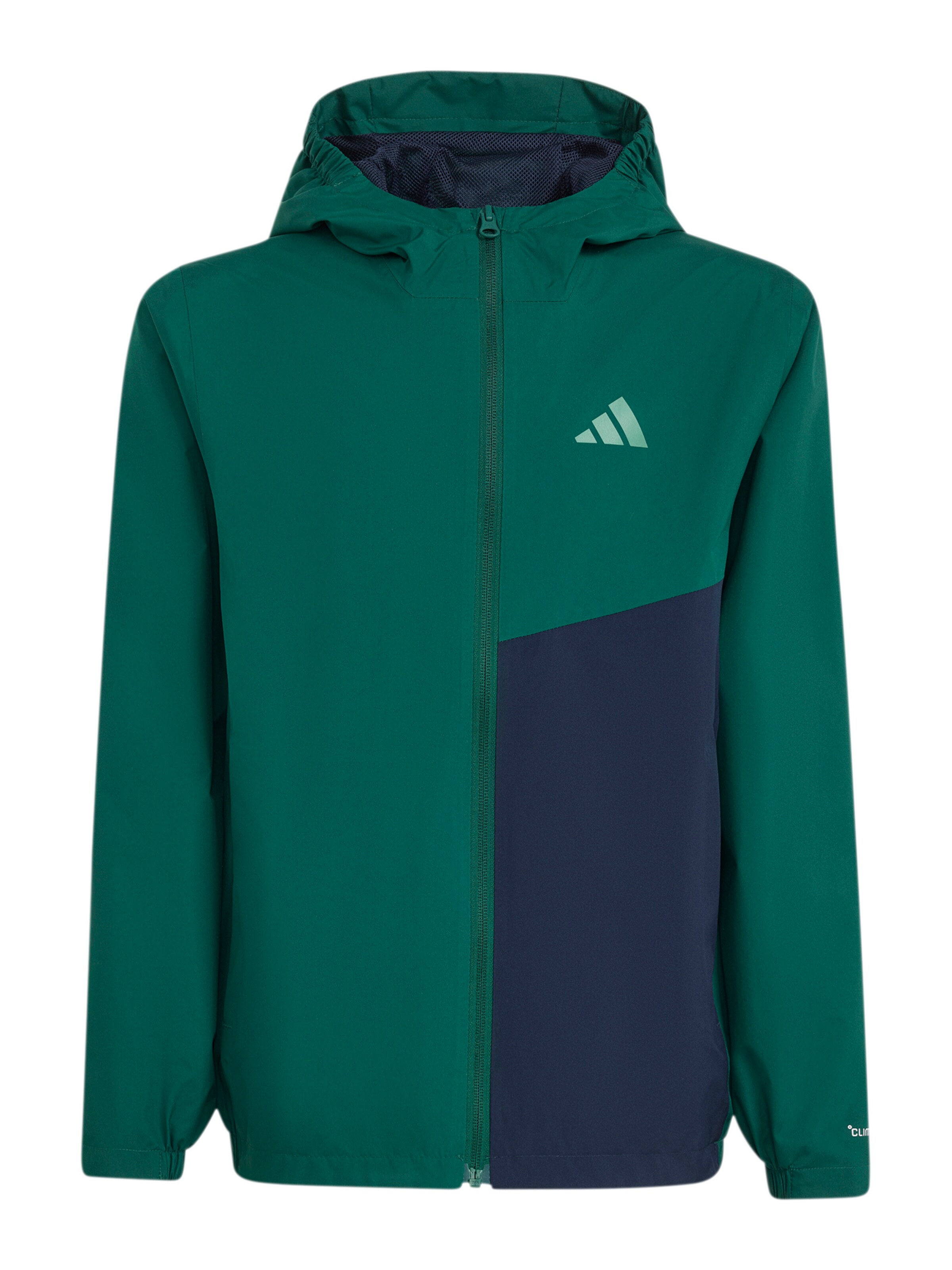 ADIDAS TERREX Outdoor jacket 'Multi 2' in Green: front