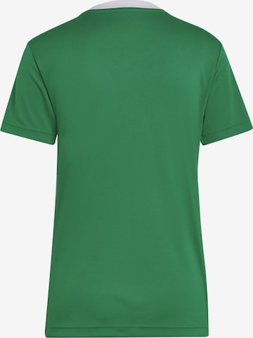 Maglia trikot 'Entrada 22' di ADIDAS SPORTSWEAR in verde