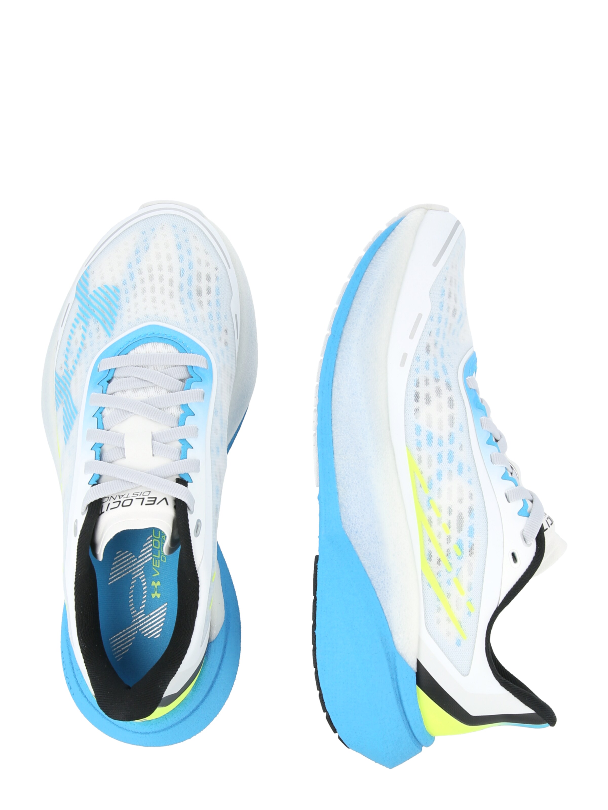 UNDER ARMOUR Обувь для бега 'Velociti Distance' в Синий