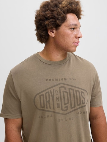 JACK & JONES Bluser & t-shirts i grå